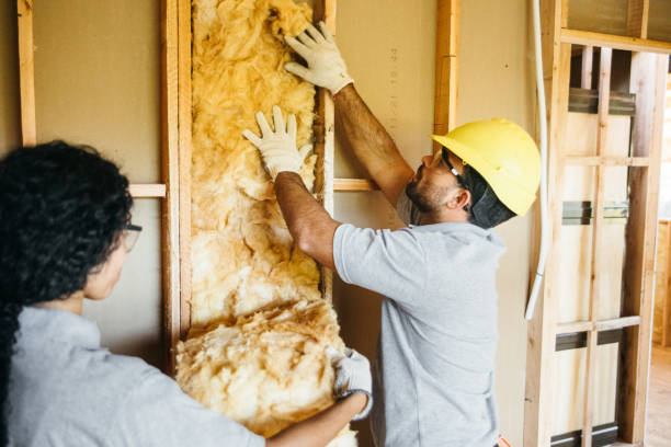 Best Wall Insulation Installation  in Tequesta, FL